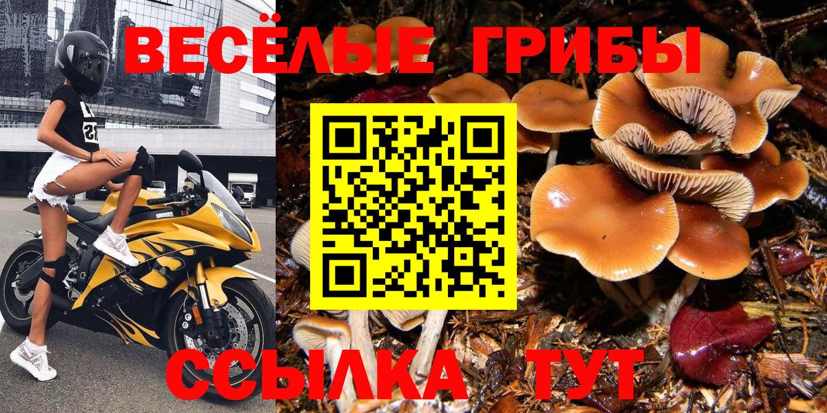 закладка  Псилоцибиновые грибы мухоморы  Вход с VPN  Коломна 